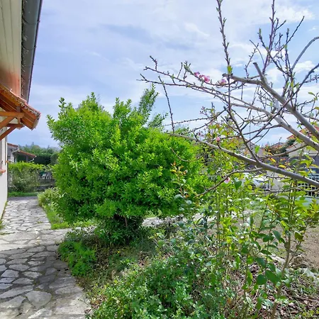 Appartement Le Gogh 3 4 Lits Tournefeuille